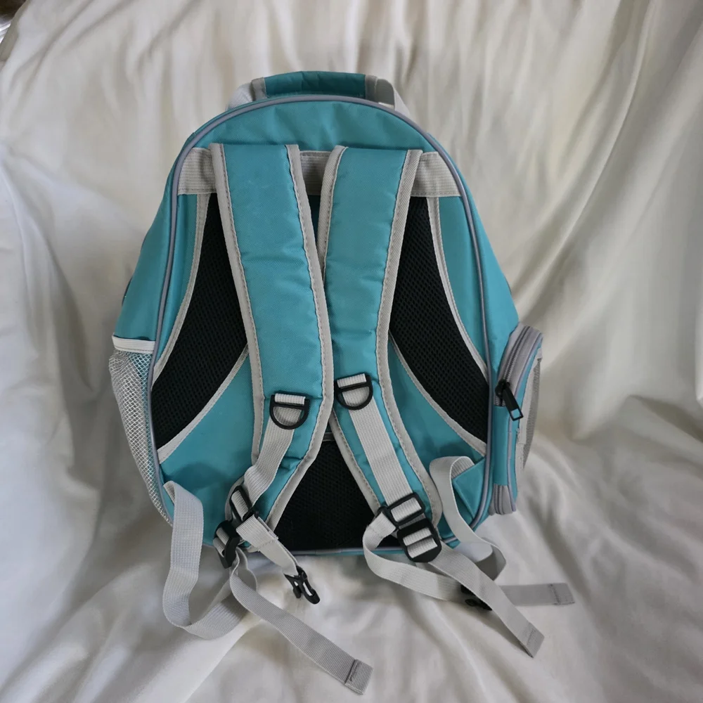 Transparent Pet Carrier Backpack